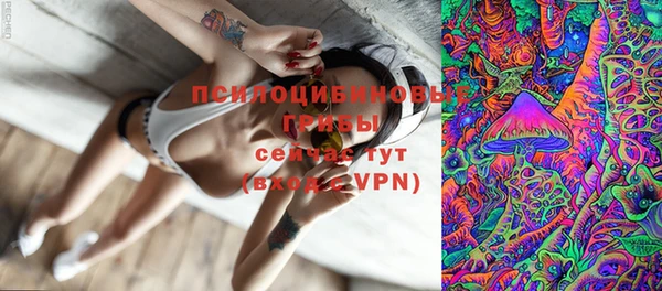 a pvp Белокуриха