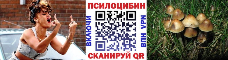 Галлюциногенные грибы прущие грибы  это клад  Болотное  KRAKEN ссылки 