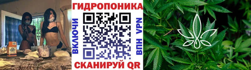наркота  Болотное  МАРИХУАНА конопля 
